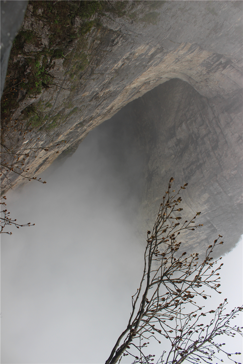 IMG_3753.jpg IMG_3753.jpg