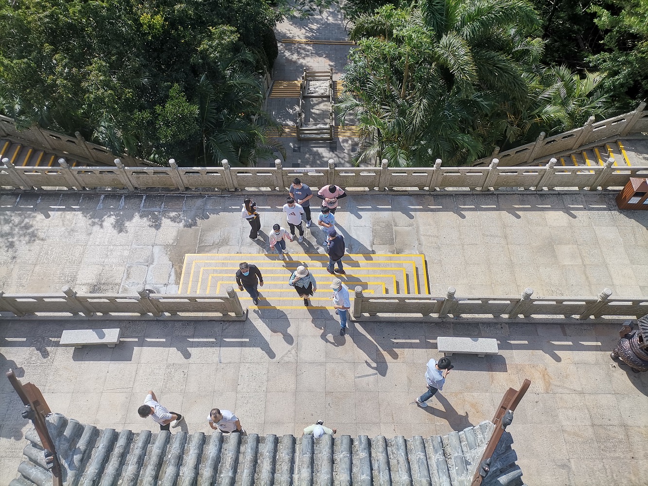 IMG_20211111_103515.jpg IMG_20211111_103515.jpg