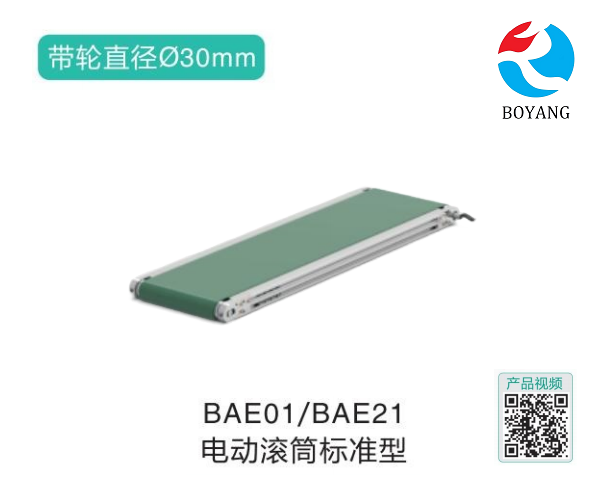 電動滾筒標(biāo)準(zhǔn)型BAE01/BAE21輸送機(jī)