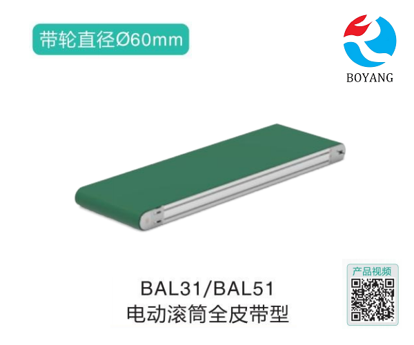 電動滾筒全皮帶型BAL31/BAL51輸送機(jī)